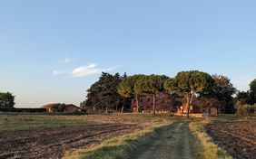 Das Podere del Gesso im Abendlicht